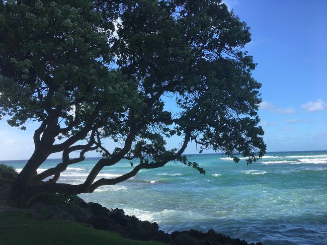 午後からは、ホテル内でのんびり過ごします