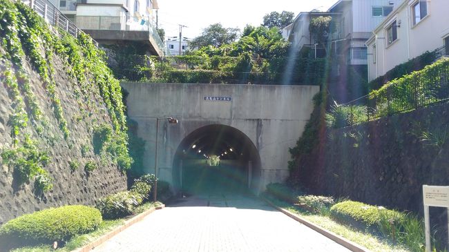 東横フラワー緑道から山下公園 横浜 神奈川県 の旅行記 ブログ By Takeおじさん フォートラベル