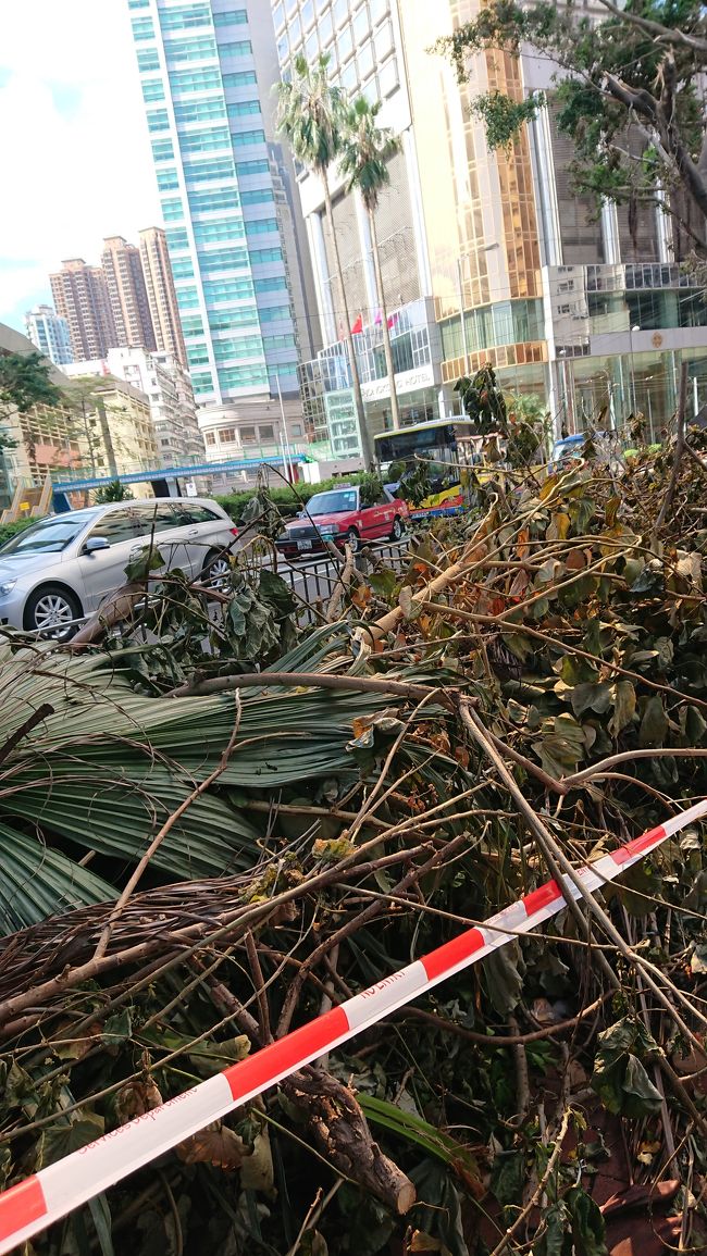 夜行く予定の舞火龍が行われる大坑へ下見に出かけます。<br />ホテルからゆっくり歩いて20分から30分といったところでしょうか。<br /><br />山竹の爪跡。