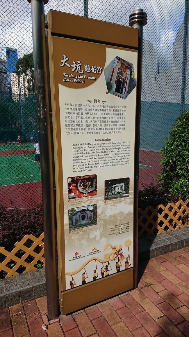 以前この道を歩いたのが、2016年の極寒の1月旅。いつか舞火龍を見てみたいなとこの道を歩きながら思っていました。