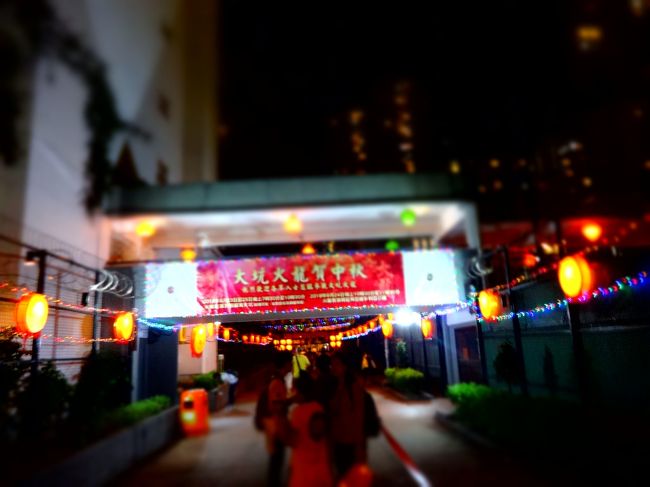 高鳴る気持ちをおさえつつ。