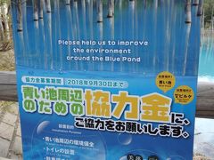 青い池に立ち寄ります。
駐車場には何台もの大型バス、外国人であふれています。
ただいま急ピッチで周辺を整備中のよう。