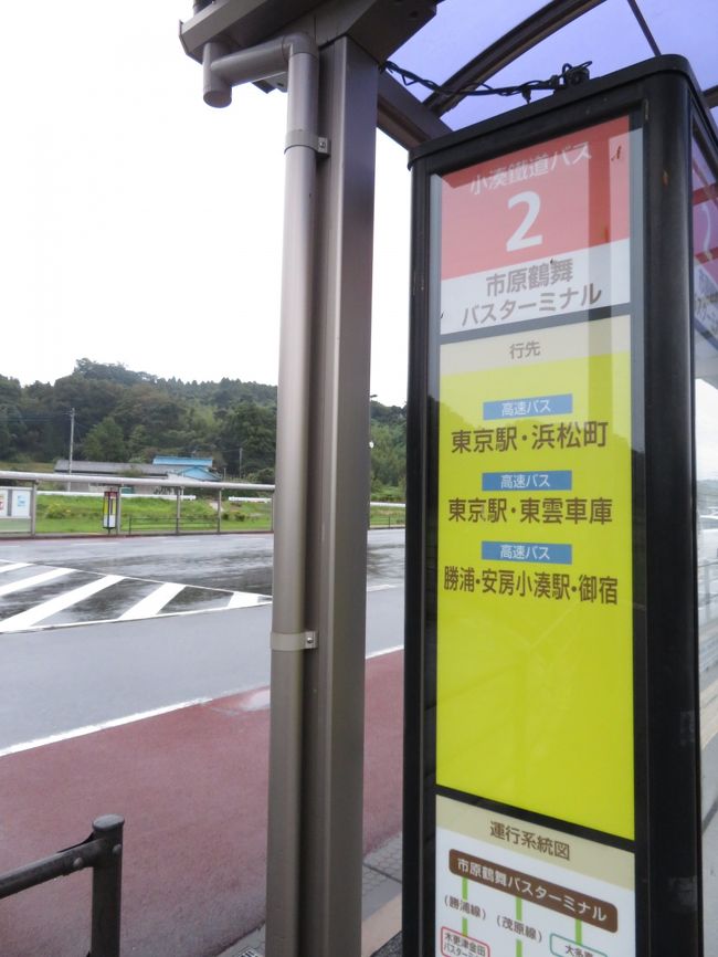 赤ちゃんゾウきっかけに市原ぞうの国ついに初訪問 １ 前泊のカプセルホテルはfirst Cabin新橋愛宕山 浜松町バスターミナルから京成バスで 市原鶴舞バスターミナル経由のアクセス ぞうの国でのランチやゲットしたもの 市原 千葉県 の旅行記 ブログ By まみさん