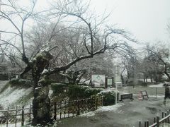 鶴ヶ城 (若松城、鶴ヶ城城址公園)