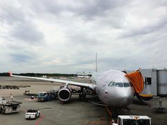 飛行機での移動