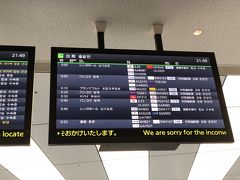 この日のスタートは、羽田空港国際線ターミナル。

ANAの夜便ということもあり、仕事終わって家へ帰り、準備して再び来れる余裕さが嬉しい。