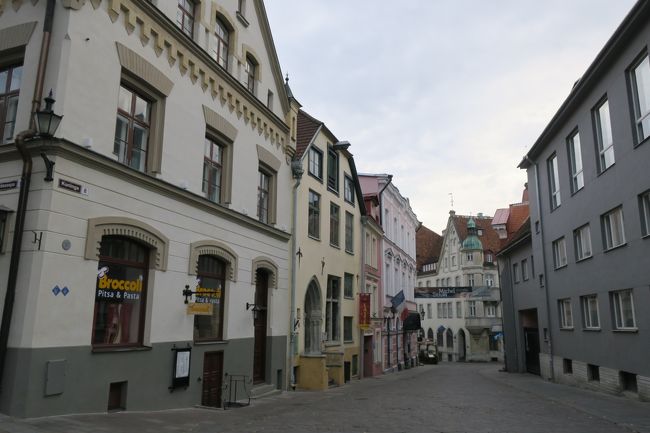 タリンも可愛らしい街並みですね。<br /><br />私は旧市街のみの街歩きでしたが<br />足を伸ばせば、宮殿や美術館も楽しめるようです。