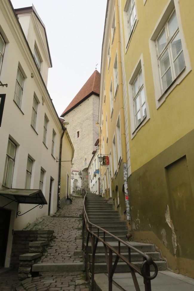 まずは、展望台に行ってみます。<br /><br />地球の歩き方によると「大聖堂」付近に3つあるようなので<br />そちらを目指します。<br />