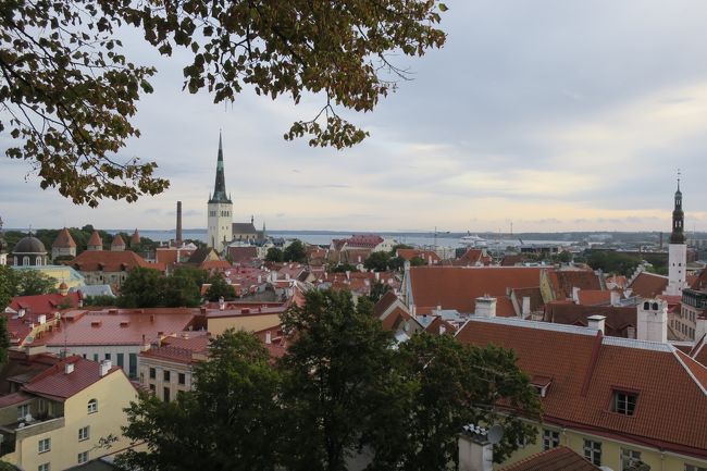 まずは「①kohtuotsa vaateplats」展望台です。<br />お天気はどんよりですが、可愛い街並みが広がっています。