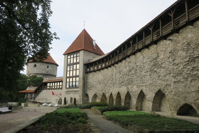 タリンの旧市街は城壁に囲まれています。<br />あちこちで、このような城壁があるんですが、どうやって登るんだろう…<br /><br />昨日、ホテルから旧市街に向かう時<br />この城壁に阻まれて、中々旧市街へ入れませんでした(笑)<br /><br />出入口を一度見逃すと、次の出入口まで結構歩く事になるので要注意です。<br />