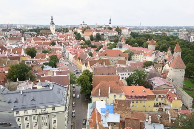 頑張って登ってきた甲斐がありました！<br />お天気いまいちですが、見晴らし良いです(^^)