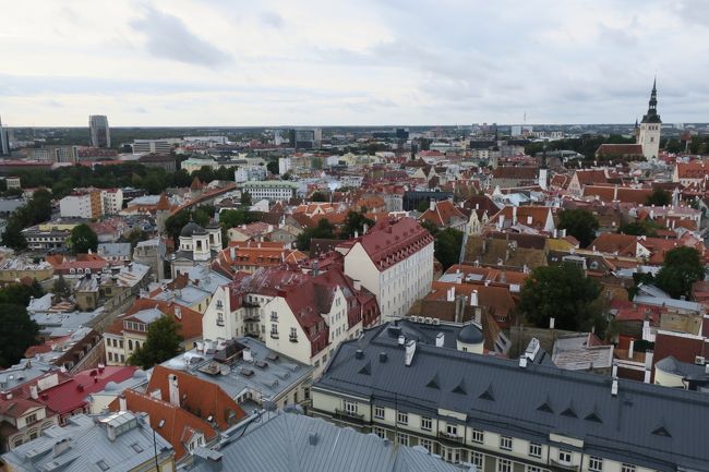 街の一望なら、この塔が一番ですね！<br /><br />時間の無い方は「大聖堂」付近の展望台は外して<br />「聖オレフ教会」の塔に登る事をお勧めします。<br /><br />ただ、この塔は階段・展望台が狭いので<br />混雑している時は、時間に注意したほうが良さそうです。<br /><br />私はオープン直後の10時過ぎに登りましたが<br />まぁまぁ人はいました。