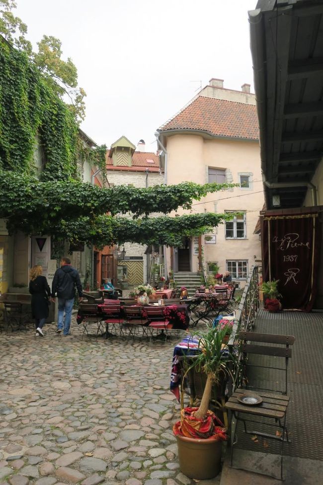 旅仲間の方が、チョコレートのお店が良かった<br />と言っていたのを思い出しました。「ショコラテリエ」というお店です。<br /><br />奥の小路に入るので、場所が少し分かりにくいですが<br />中庭にテラス席もあります。<br /><br />お茶しようか迷いましたが、オルガンコンサートの時間が近かったので<br />板チョコを2枚購入。<br /><br />帰国後、ホワイトチョコレートを食べてみましたが<br />いまいちでした(^^;)<br /><br />お店には、ケーキやチョコドリンクもあったので<br />休憩にいいと思います。