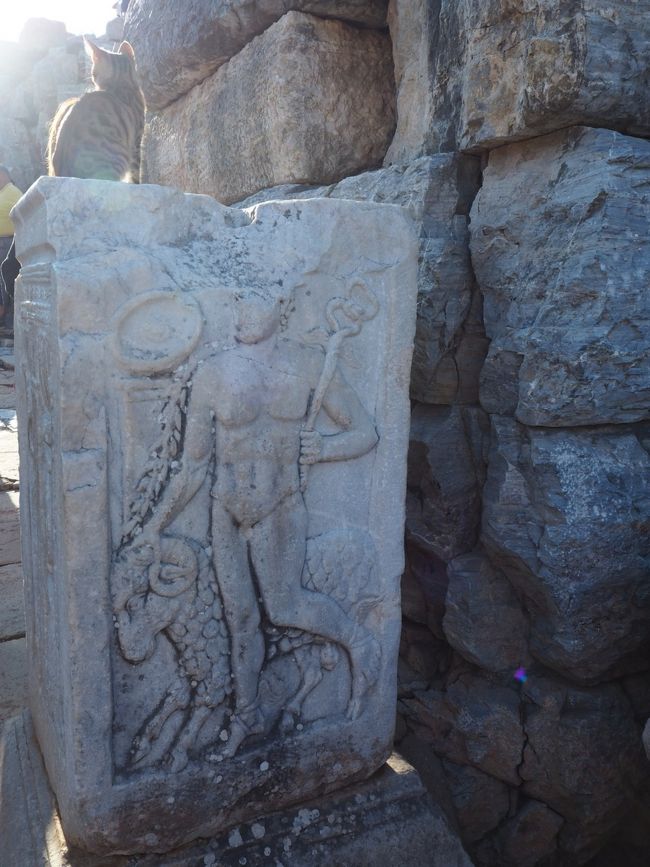 こっち側の説明はなんとなく覚えているような。山羊使いの話だったかな。