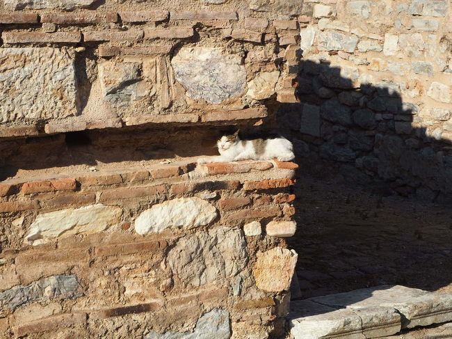 すごいところに挟まってるなぁ。