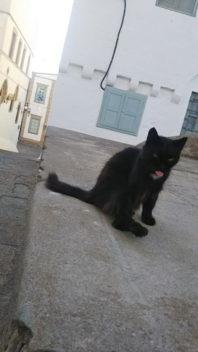 舌がだしっぱ！