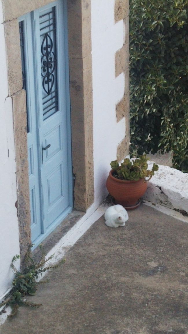 あんなところにも！<br />