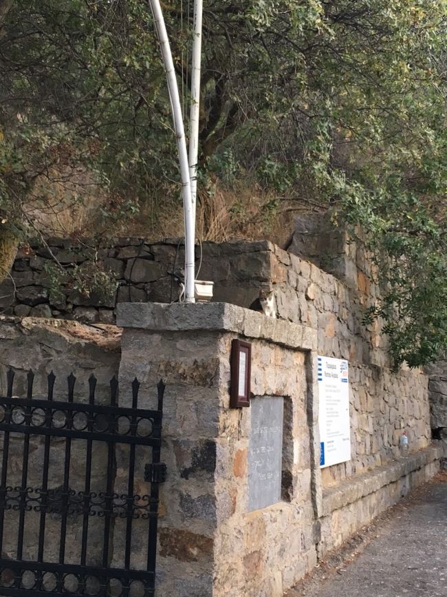 黙示録の洞窟へ移動しました。ヨハネが黙示録を書いた洞窟です。<br /><br />皆さんとても真面目にガイドさんの説明を聞いていました。<br />私のイメージでしたが、欧米の方って結構賑やかでHAHA！みたいな感じかと思っていたのですが、結構静かに説明聞いてるのですよね。行く場所柄からと年齢層高めって事もあるかもですが、ちょっと意外でした。