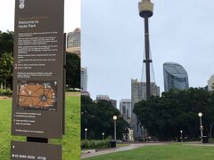 街ラン途中：Sydney TowerとHyde Park