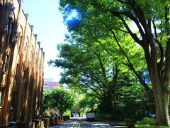 キャンパス内を横切って旧岩崎邸へ。