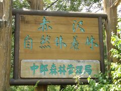 ここからバスに30分ほど揺られ、本日の目的地である赤沢自然休養林に到着しました。