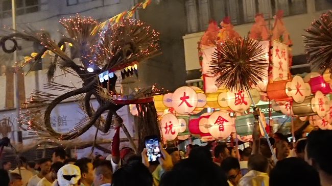 たぶんとぐろを巻くところ