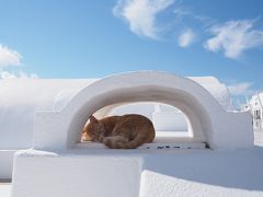 イアの建物の陰で熟睡の子猫。
周りで結構観光客が写真を撮ってましたが、全然意に介せずでした（笑）