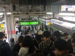 菊名駅でＪＲに乗り換え
朝早いというのに結構人が多い。