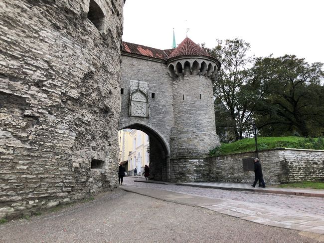 こっ、これが、ふとっちょマルガレータ、、、！