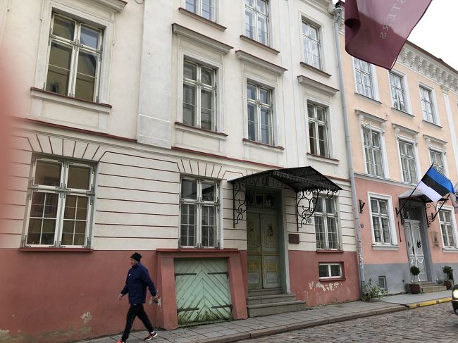 基本歩きながらバシャバシャ撮っているのでぶれてるものも多いです。笑