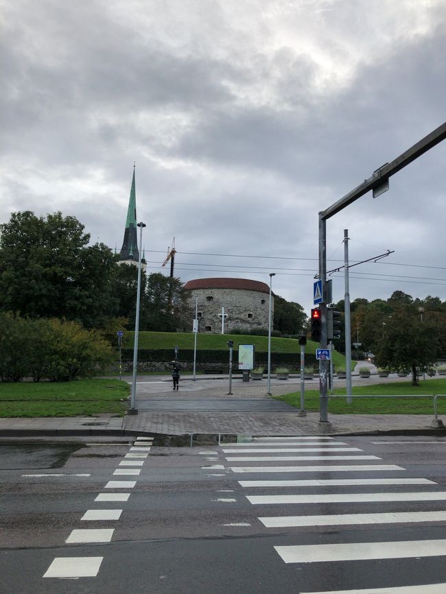 ふとっちょマルガレータが、、！<br />み、見えて、、、！