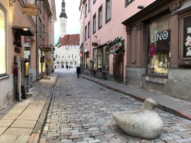 鳩の石があちこちにありました。