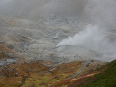 凄いガス～
こりゃいつになったら地獄谷に行けることやら