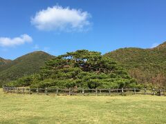 「念頭平松」は、なんとか大丈夫だったようです
ここから北の方にいくつか見所があるようですが、結構距離があるので