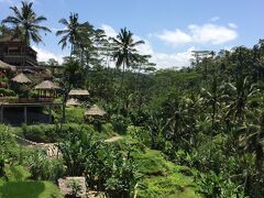 大好きBALI！！さんのカーチャーター、約束の時間通りお迎えに来てくれました。
まず最初はテガラランへ！
車から降りたら、思わず声がもれました（＾＾）
素晴らしいグリーンビュー！
また、訪れたときは、この景色を見ながらランチもいいな～と思いました。

通行料？入場料？　1人　1万ルピア。
お供え？！　5000ルピア。これは、払っても払わなくてもいいのでしょう。気持ち程度お供えしました。