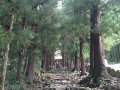 軽い気持ちで立ち寄った浄光寺でしたが、こちらの薬師堂が素晴らしかった。
この参道が雰囲気がすごくいいです。
パワースポットです。