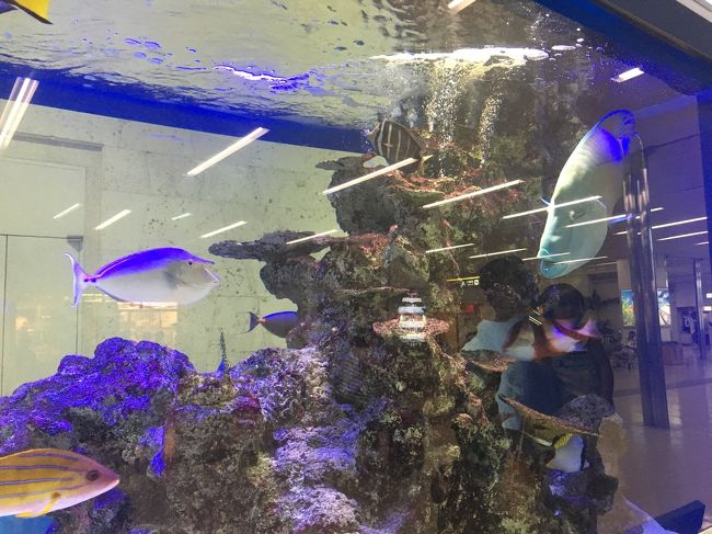 那覇空港到着。<br />水槽でお魚鑑賞です。<br />
