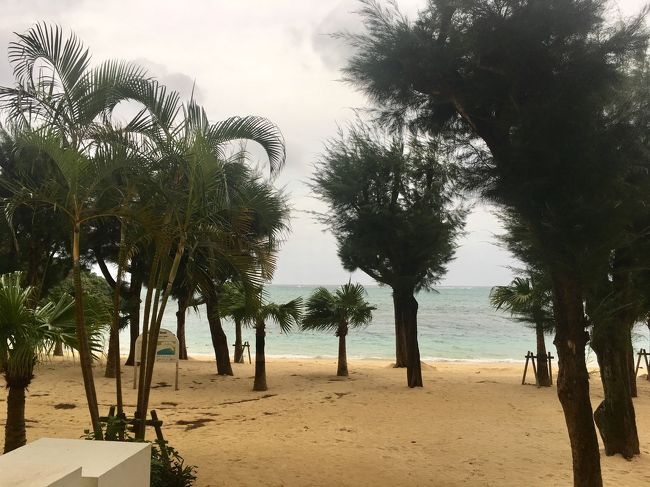 風はゴオゴオ<br />砂がバチバチ凶器のように飛んできます