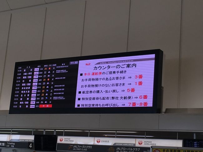 29日は国内線すべて欠航だったため空港はキャンセル待ちやらなんやらで大混雑<br />私も初めての経験です<br />２９日に帰る予定だったらどんなことになっていたことか・・・