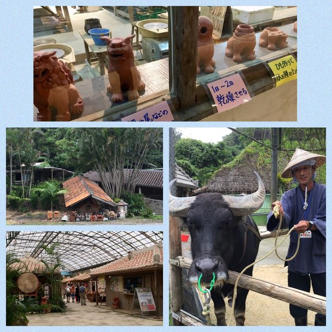 琉球村をブラブラ<br />水牛使いのお兄さんに「お名前は？」と聞いたら「てっちゃんです」と教えてくれました。<br />帰りにちらっとお兄さんの名札を見たら「哲男」と書いてあったので、今となっては水牛の名前がてっちゃんなのか、お兄さんの名前がてっちゃんなのかは謎のままです