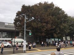 ＪＲ上野駅公園口から上野の森に到着です。