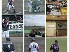 2018/2/13
こちらは同じく沖縄旅行中、石垣島で巡り合ったロッテさんのキャンプ。
見学は短時間でしたが、ちょうど紅白戦をやってました。

沖縄まで行って野球ばっか見てるのか？と思われるなら大きな誤解で、ちゃんと観光もしましたよ！川平湾とか見たんです！

石垣では３泊しました。
2泊は普通のビジネス、1泊は少し高級なリゾートホテルを選んだんですが、なんと偶然、３泊ともロッテ一軍・二軍関係者さんと同じホテルでした（ロッテは一軍二軍共石垣島なのです）。

リゾートホテルでは一般客と一軍はフロアがきっちり分かれているので、館内でプライベートの選手と巡り合う事はありませんでしたが、練習の行き返りなどでお見かけする機会はちょいちょいありました。
ビジネスホテルのほうでは、一応選手専用フロアがありましたが、食堂とかで普通に食事されてましたし（一般客ははいれない）、エレベーターに乗ってきたし、向かいのコンビニにでっかい外国人が現れたし、元阪神の高濱がいたし、あと報道関係の人が多かったです。

阪神のホテルもこんな感じなんかな？まさかねー。