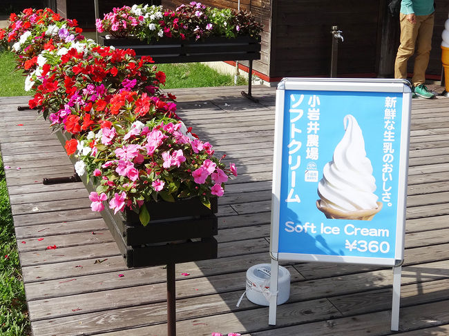 ソフトクリームは外せませんね(^^)v