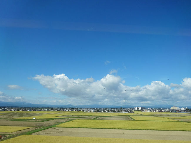 のどかな風景が続きます。