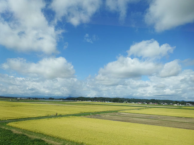 雲は多いですが、今日の天気は大丈夫な様子。<br />田園風景に癒されます。