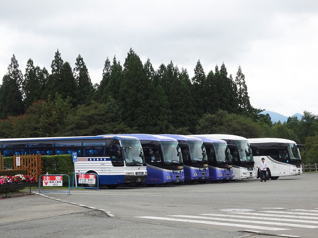 平日なので空いているようでしたが、観光バスも来ています。