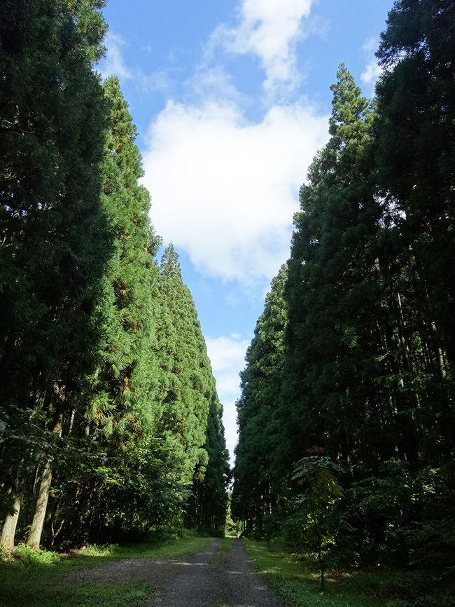 空が逆三角になって素敵な風景です(^^♪　インスタ映えスポットです。