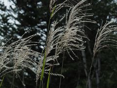 休暇村をチェックアウト後
五色沼自然探勝路の入口にある
裏磐梯ビジターセンターを目指します。

今日は五色沼を巡る予定。
晴れてくれて本当に良かった(o^^o)