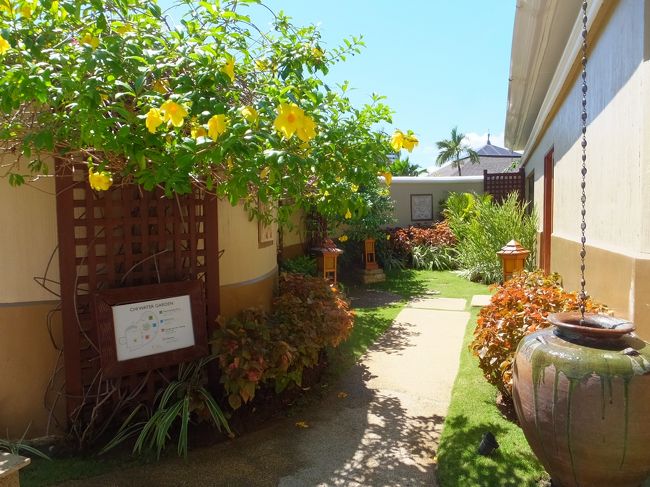 施術前にPRIVATE  GARDEN  POOLの使用が可能です。