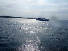 １ダイブ目は黒島。ポイント名：Ｖ字。